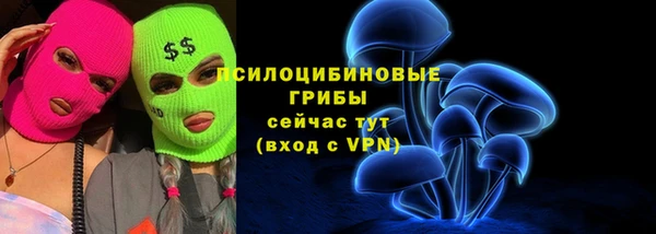 тгк Кукмор