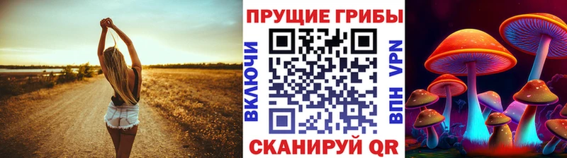 Псилоцибиновые грибы мицелий  это телеграм  Новоаннинский 